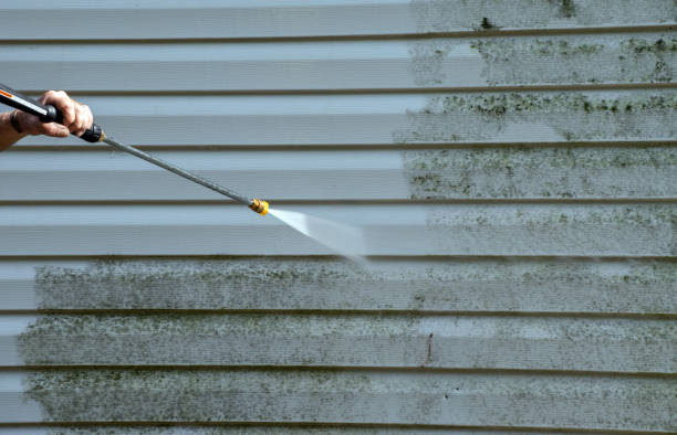 Best Roof Washing  in Guthrie Center, IA